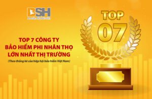 Bảo hiểm BSH nằm trong top 7 công ty hàng đầu Việt Nam