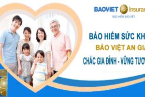 Bảo Hiểm Sức Khỏe Bảo Việt Và Những Điều Bạn Cần Biết