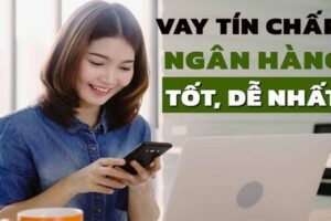 10+ Các Ngân Hàng Cho Vay Online Tín Chấp Bằng CMND Uy Tín Lãi Thấp (2023)